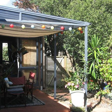 Kotuku Bed & Breakfast Whangamata Exterior photo